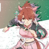 ブシロード ラバーマットコレクション V2 Vol.1305 劇場版 ウマ娘 プリティーダービー 新時代の扉 ダンツフレーム(橡膠枱墊)※不設寄送《24年10月預定》 4582692246066