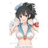 閃乱カグラ 枕カバー 飛鳥Ver.※不連枕芯 ※不設寄送《23年12月預定》 4582697481998