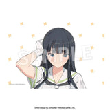 閃乱カグラ 枕カバー 斑鳩Ver.※不連枕芯 ※不設寄送《23年12月預定》 4582697482001