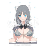 閃乱カグラ 枕カバー 雪泉Ver.※不連枕芯 ※不設寄送《23年12月預定》 4582697482018