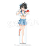 閃乱カグラ アクリルメガフィギュア 飛鳥Ver.(亞加力立牌)※不設寄送《23年12月預定》 4582697482025