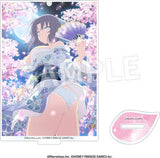 閃乱カグラ アクリルスタンド コレクション Vol.1(亞加力立牌)(全套10個入)※不設寄送《24年4月預定》 4582697484814
