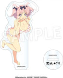 閃乱カグラ アクリルフィギュア コレクション Vol.1(亞加力立牌)(全套10個入)※不設寄送《24年4月預定》 4582697484838