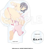 閃乱カグラ アクリルフィギュア コレクション Vol.1(亞加力立牌)(全套10個入)※不設寄送《24年4月預定》 4582697484838