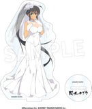 閃乱カグラ アクリルフィギュア コレクション Vol.2(亞加力立牌)(全套10個入)※不設寄送《24年7月預定》 4582697484876