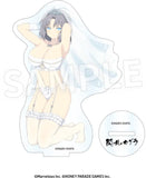 閃乱カグラ アクリルフィギュア コレクション Vol.2(亞加力立牌)(全套10個入)※不設寄送《24年7月預定》 4582697484876