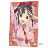 この素晴らしい世界に爆焔を! どどんこ Ani-Art ダブルアクリルパネル(亞加力立牌)※不設寄送《24年1月預定》 4582711674818