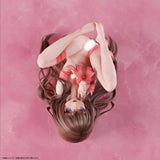 【18+】箱入り少女D 1/4《24年1月預定》 4589607797415