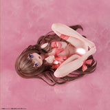 【18+】箱入り少女D 1/4《24年1月預定》 4589607797415