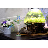 デート・ア・ライブIV 描き下ろし BIGアクリルスタンド 四糸乃 チアガール(亞加力立牌)※不設寄送《24年4月預定》 4589830074925