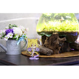 デート・ア・ライブIV ぷちちょこ アクリルスタンド 星宮六喰 チアガール(亞加力立牌)※不設寄送《24年4月預定》 4589830075007