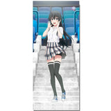 【再販】やはり俺の青春ラブコメはまちがっている。完 描き下ろし BIGタペストリー (応援) 雪乃(掛布)※不設寄送《24年7月預定》 4589839368421-1