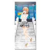 【再販】やはり俺の青春ラブコメはまちがっている。完 描き下ろし BIGタペストリー (応援) いろは(掛布)※不設寄送《24年7月預定》 4589839368445-1