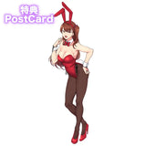 【18+】イジラレ～復讐催●～ 野上いずみ バニーVer.※可選擇特典版《25年2月預定》 4589890602519