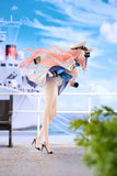 ブラウンダスト2 海軍隊長 シルヴィア《27年5月預定》 行版 全數$1488 / *免運費   店取pt:20 / 26年10月19日