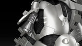 【再販】ACKS ゴジラ×メカゴジラ MFS-3 3式機龍※不設寄送《24年12月預定》 4905083099346-1
