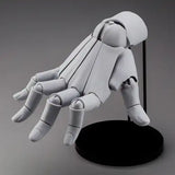 【再販】ARTIST SUPPORT ITEM ハンドモデル/R -GRAY-※不設寄送《24年8月預定》 4934054054541-1