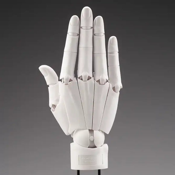 【再販】ARTIST SUPPORT ITEM ハンドモデル/R -WHITE-※不設寄送《25年9月預定》 4934054054558-2
