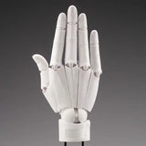 【再販】ARTIST SUPPORT ITEM ハンドモデル/R -WHITE-※不設寄送《25年9月預定》 4934054054558-2