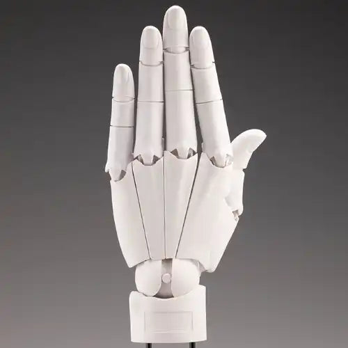 ARTIST SUPPORT ITEM ハンドモデル/L -WHITE-※不設寄送《24年10月預定》 4934054054572