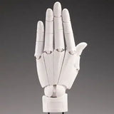 ARTIST SUPPORT ITEM ハンドモデル/L -WHITE-※不設寄送《24年10月預定》 4934054054572