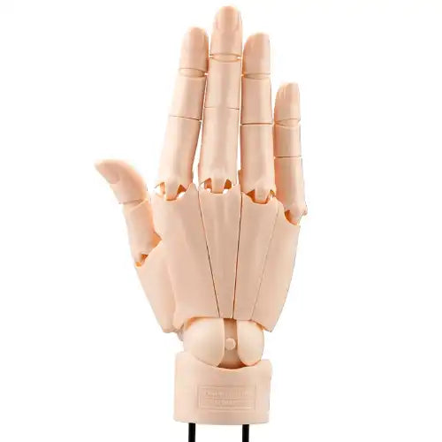 ARTIST SUPPORT ITEM ハンドモデル/R -PALE ORANGE-※不設寄送《24年12月預定》 4934054063109