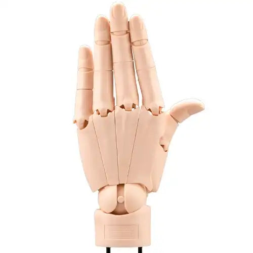 ARTIST SUPPORT ITEM ハンドモデル/L -PALE ORANGE-※不設寄送《24年12月預定》 4934054063116