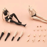 創彩少女庭園 ドレスアップボディ M カラーC Ver.(此商品不包含其他模型本體)※不設寄送《25年6月預定》 4934054066285