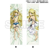 英雄教室 描き下ろし抱き枕カバー クー※不連枕芯《24年4月預定》 4934569980519