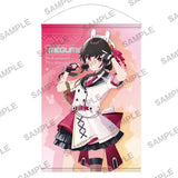 この素晴らしい世界に爆焔を! アニメ化記念フェア 描き下ろしB2タペストリー めぐみん アイドル衣装Ver.(掛布)※不設寄送《23年6月預定》 4935228868339