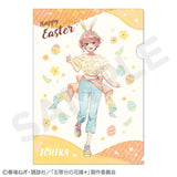 五等分の花嫁* ホログラムA4クリアファイル 中野一花(文件夾)(售價為5個)※不設寄送《25年7月預定》 4942330300459