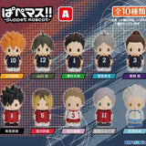 ハイキュー!! ぱぺマス!! A(原盒10個入)《25年7月預定》 4970381685355