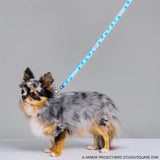 DRAGON QUEST PETs スライムのリフレクター付きペットリード(寵物牽繩)※不設寄送《25年9月預定》 4988601263849