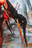 C.C.CHALCOSOMA(コーカサスオオカブト)《24年7月預定》 6975868440029