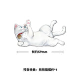 飢えた子羊 満穂 紅妝穂歳  ※連特典《26年5月預定》 行版 全數$598 / *免運費   店取pt:10 / 25年11月21日